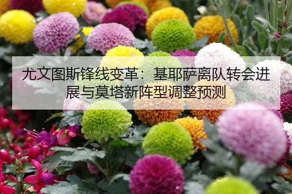 you-wen-tu-si-feng-xian-bian-ge-ji-ye-sa-li-dui-zhuan-hui-jin-zhan-yu-mo-ta-xin-zhen-xing-tiao-zheng-yu-ce-2-896.jpg
