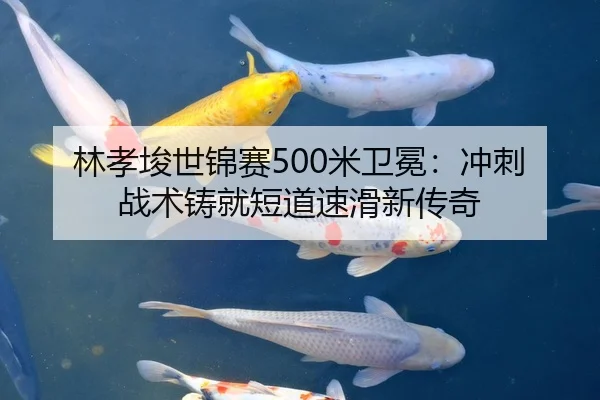 林孝埈世锦赛500米卫冕：冲刺战术铸就短道速滑新传奇