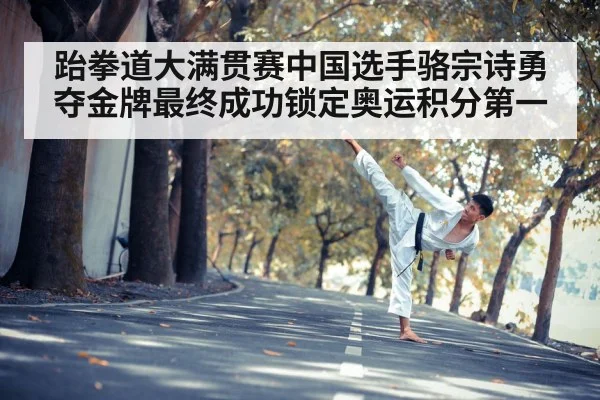 taekwondo kick