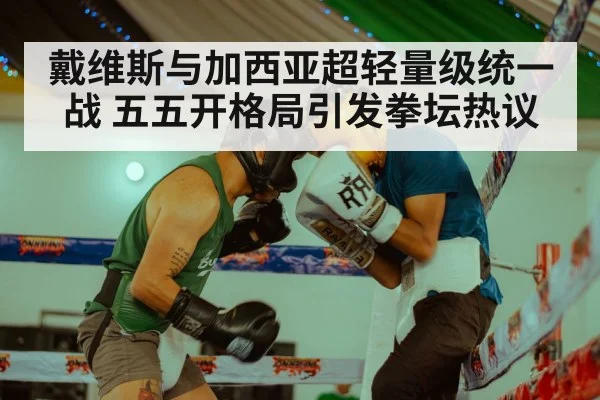 戴维斯与加西亚超轻量级统一战 五五开格局引发拳坛热议