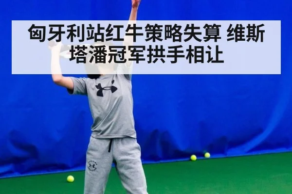匈牙利站红牛策略失算 维斯塔潘冠军拱手相让