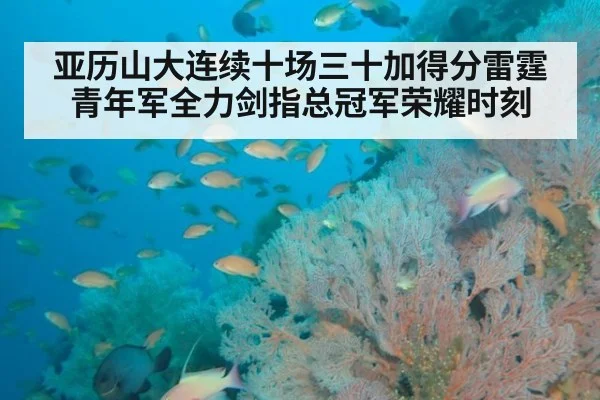 亚历山大连续十场三十加得分雷霆青年军全力剑指总冠军荣耀时刻